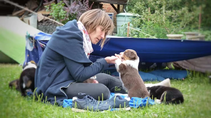 Post-Arrival Assistance and Settling In