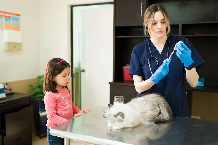 Pre-Move Pet Health Preparation