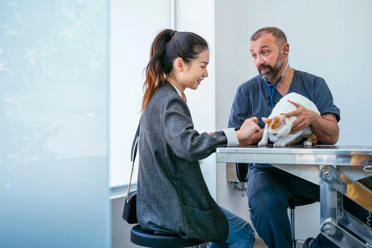 Pre-Transport Consultation for pets