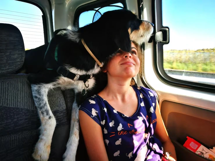 Private Jet Pet Transport from USA to Europe