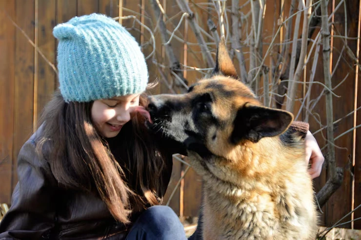 Girl interacting lovingly with German Shepherd.