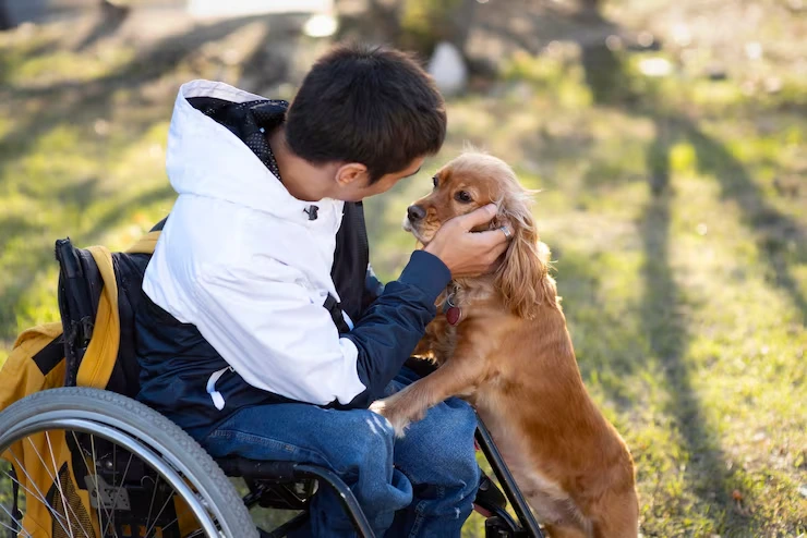 Special Needs and Breed-Specific Considerations