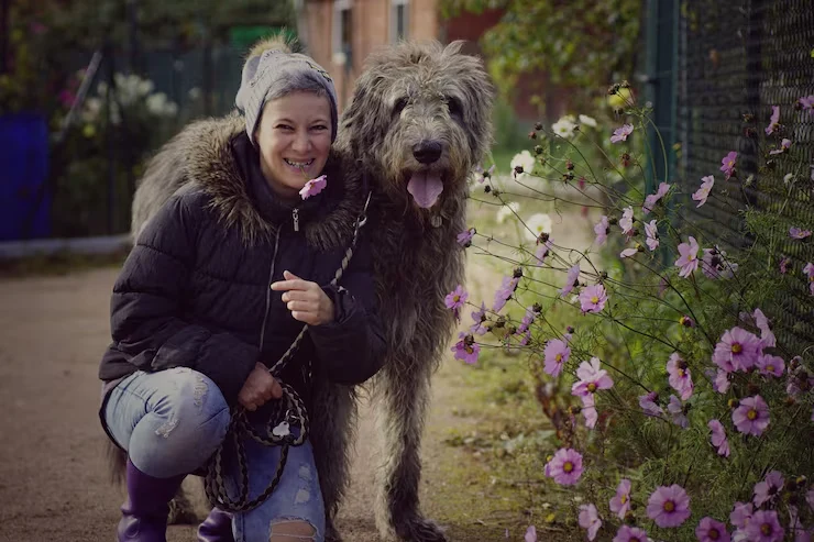 Specialized Assistance for Older or Anxious Dogs