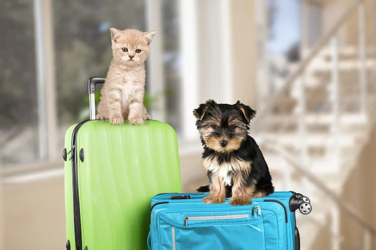 Travel Arrangements and Pet Airline Booking