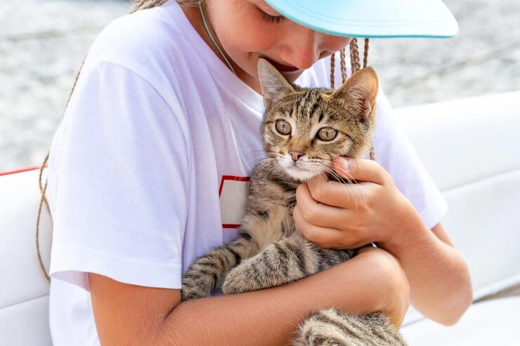 Travel Insurance and Contingency Planning