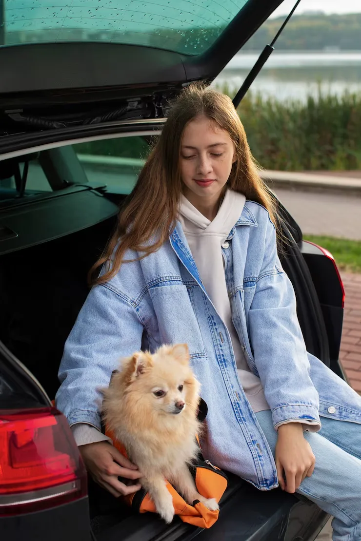 USA to Belgium Pet Transport Services You Can Rely On