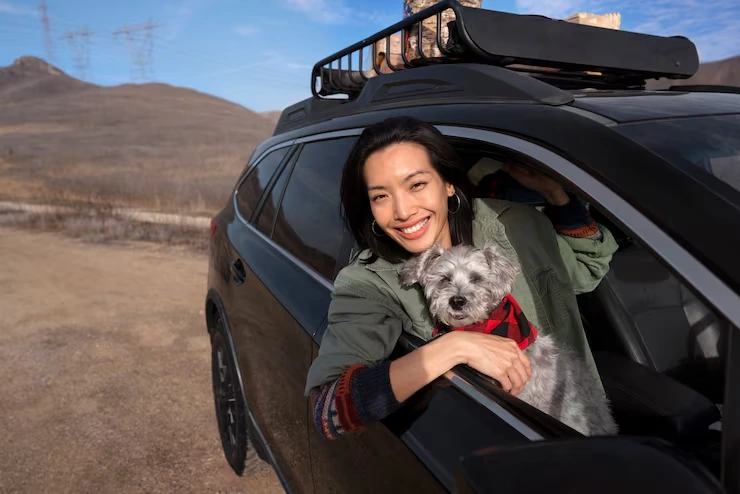 USA to Ireland Private Jet Pet Transport