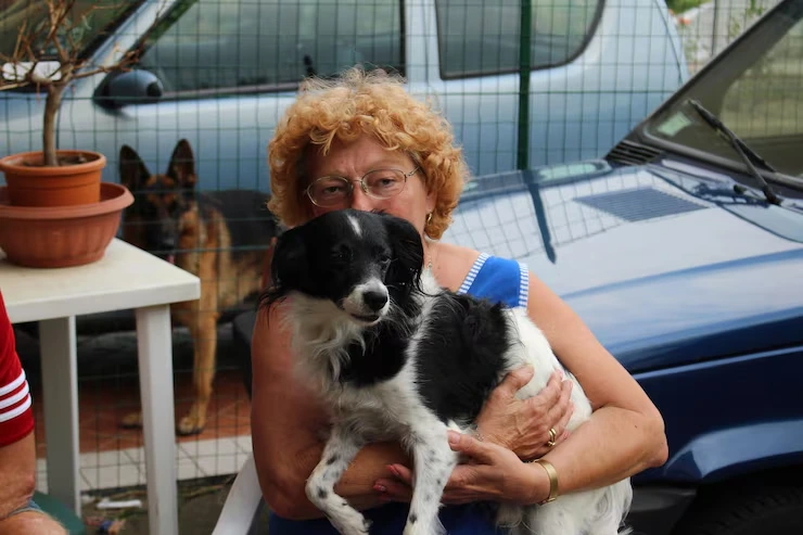 USA to Netherlands Dog Transport Services