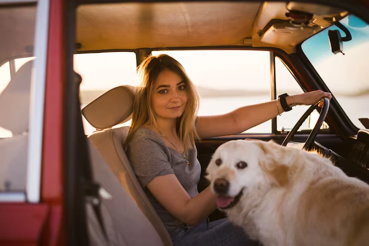 USA to Norway Private Jet Pet Transport