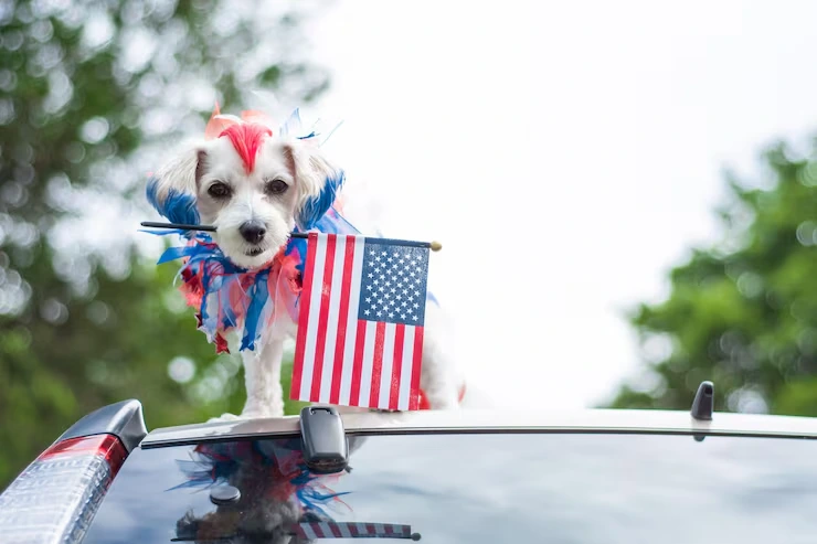 USA to Spain Diplomatic Pet Relocation Services