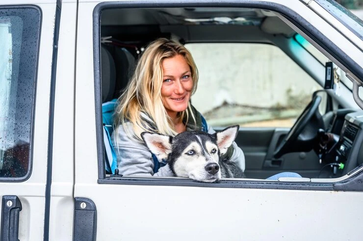 USA to Spain Dog Transport Services