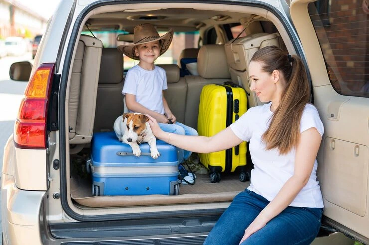 USA to Spain Pet Transport Services