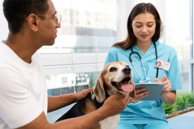 Veterinary Health Certification and Compliance