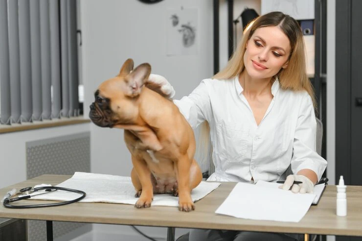 Veterinary and Health Documentation