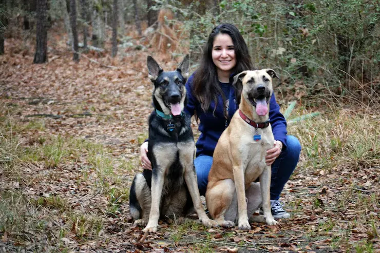 Expert choose rare breed dog relocation services process