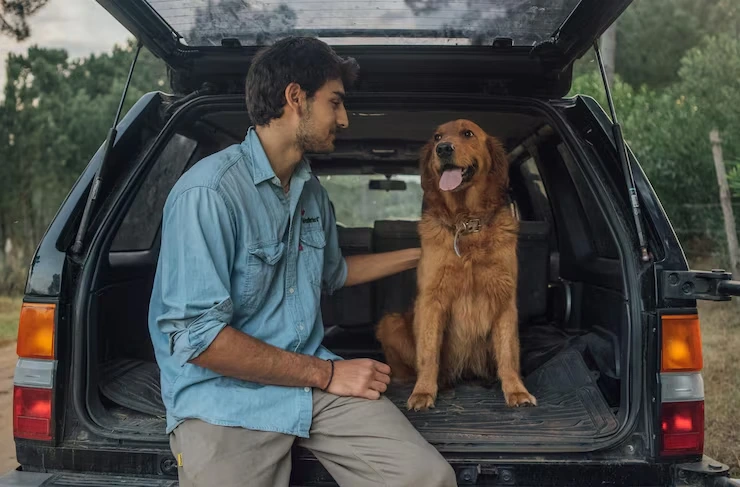 Transporting Your Dog from the USA to Macedonia