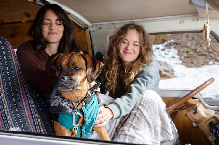 USA to Norway Private Jet Pet Transport