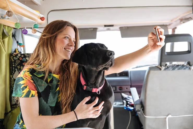 USA to Spain Dog Transport Services