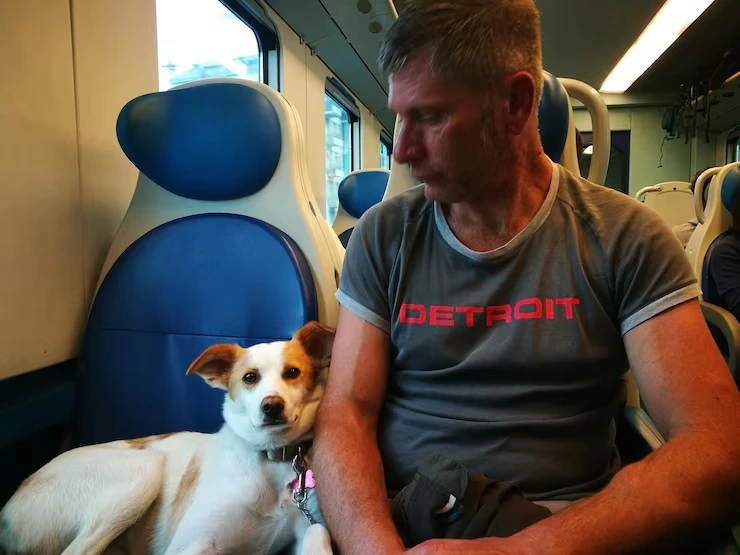 Dog Transport Services from USA to Switzerland