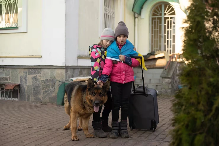 Private Jet Pet Transport Services From the USA to Portugal