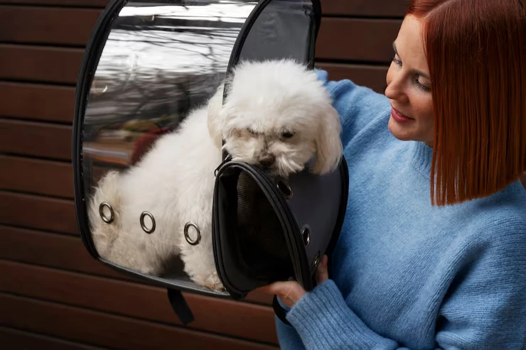 Why Choose Us for Private Jet Pet Transport from USA to Europe
