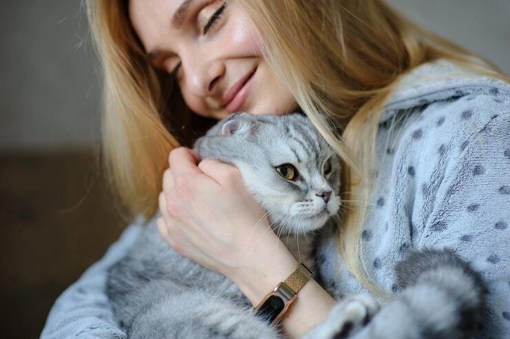 Customs Clearance and Entry Coordination in France