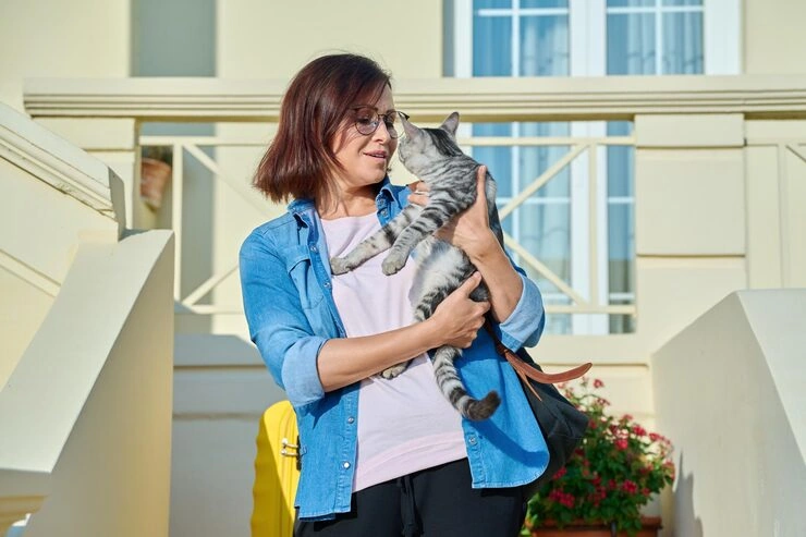 Customs Compliance and Documentation Assistance