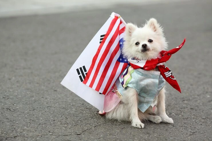 Diplomatic Pet Relocation From the USA to Italy