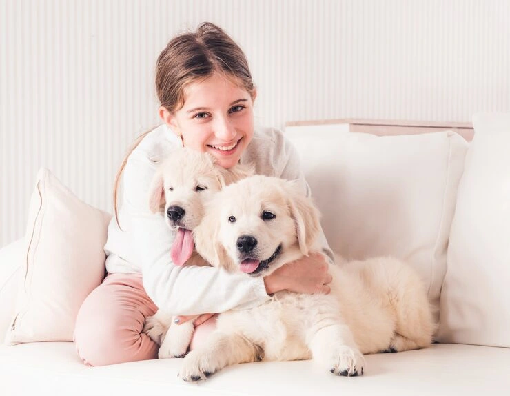 Dog Transport Services From the USA to Norway