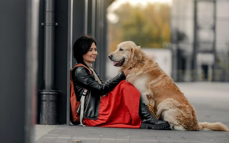 Door-to-Door Ground Transport