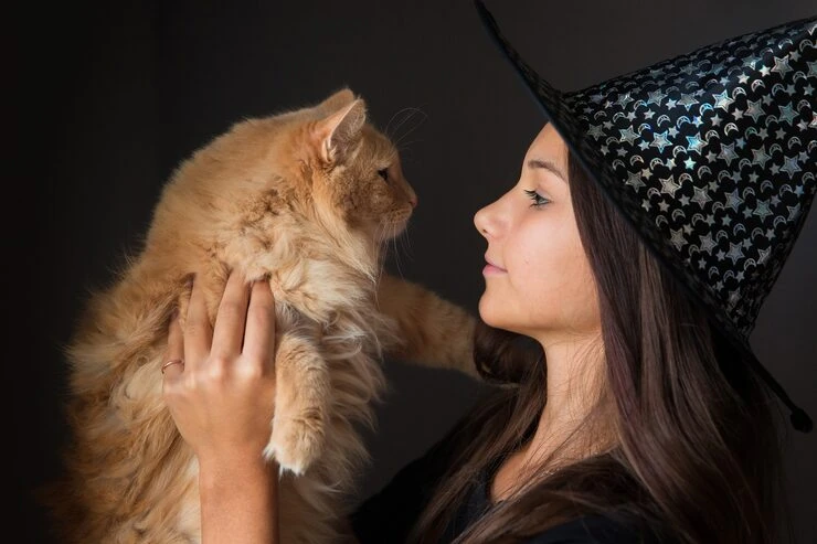 Emergency Pet Transport Services