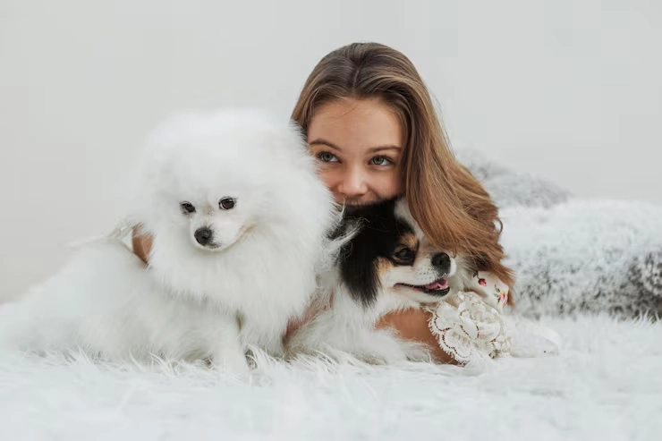 From USA to UK Diplomatic Pet Relocation