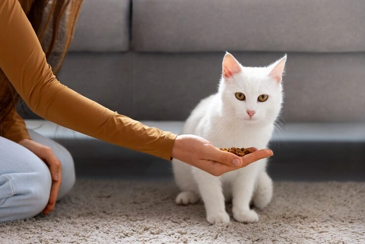 Pre-Flight Health & Safety Preparation