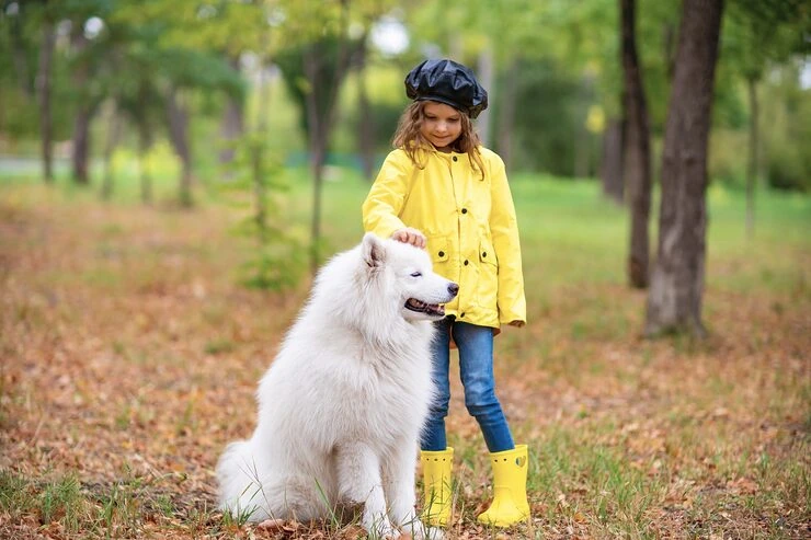 Veterinary Compliance and Health Certification