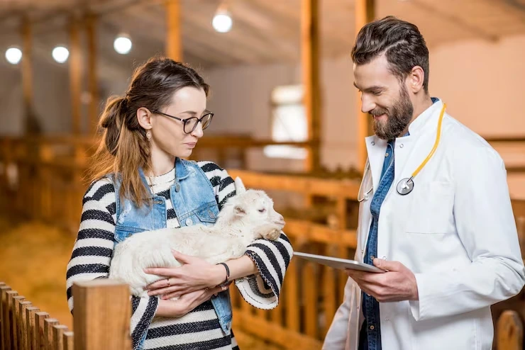 Expert veterinary health certification and compliance