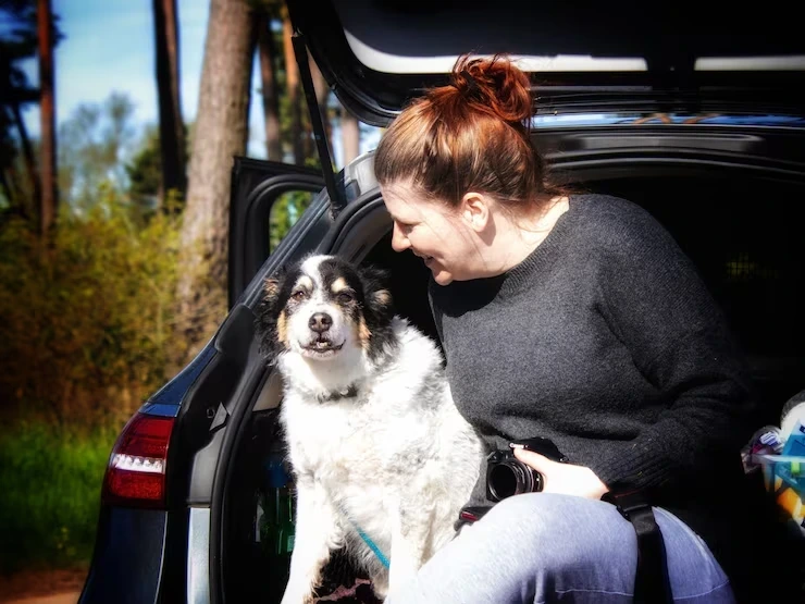 Expert luxury dog transport services for safe travel