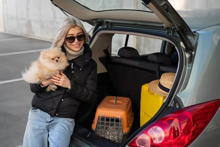Trusted services luxury cat transport from usa to europe