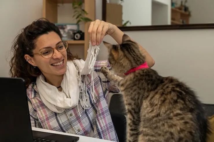 Crate Preparation and Travel Conditioning Guidance