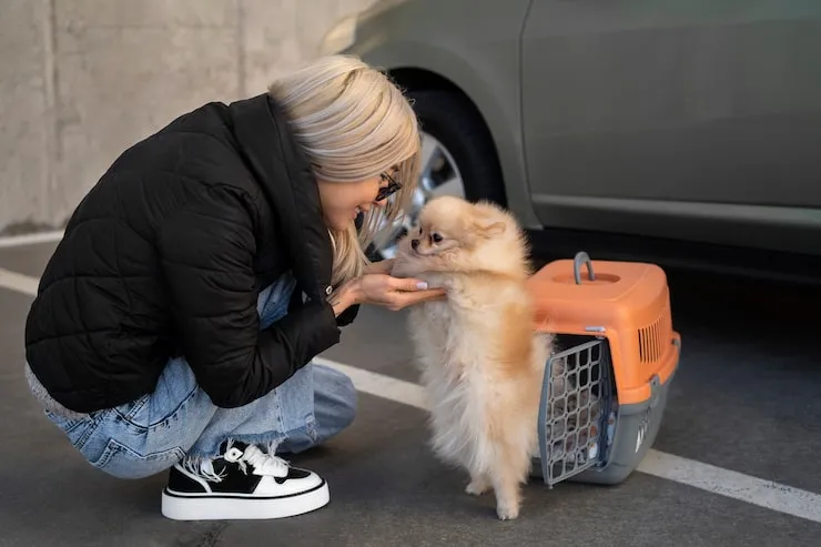 Diplomatic Pet Relocation Services From the USA to Belgium