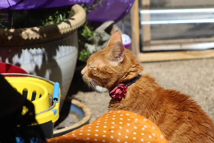 Full Journey Oversight & Owner Communication