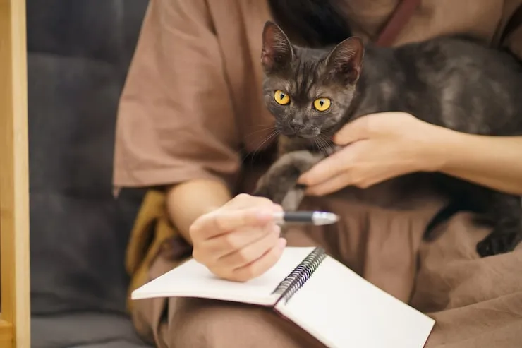 Ground Transport in the USA