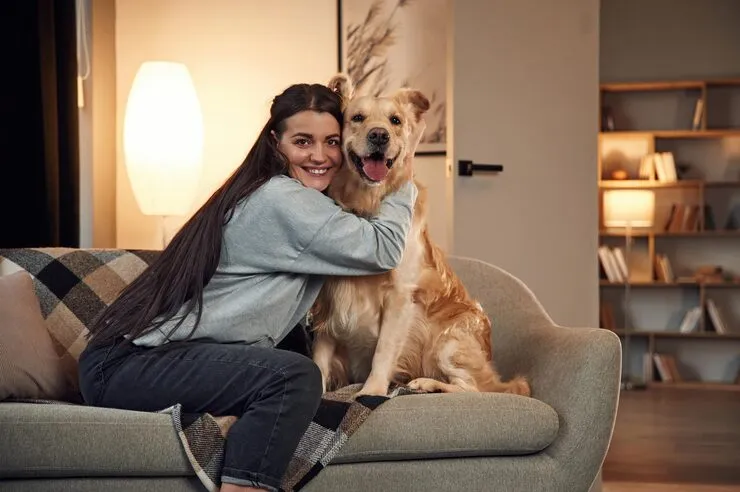 Import Scheduling and Coordination With Belgian Authorities