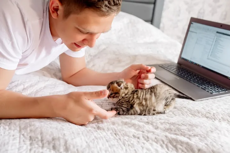 Private Jet Pet Transport Services From the USA to Belgium