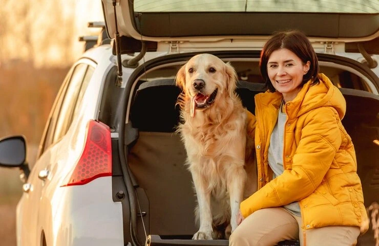 Reliable USA to Ireland diplomatic pet transport services for pets