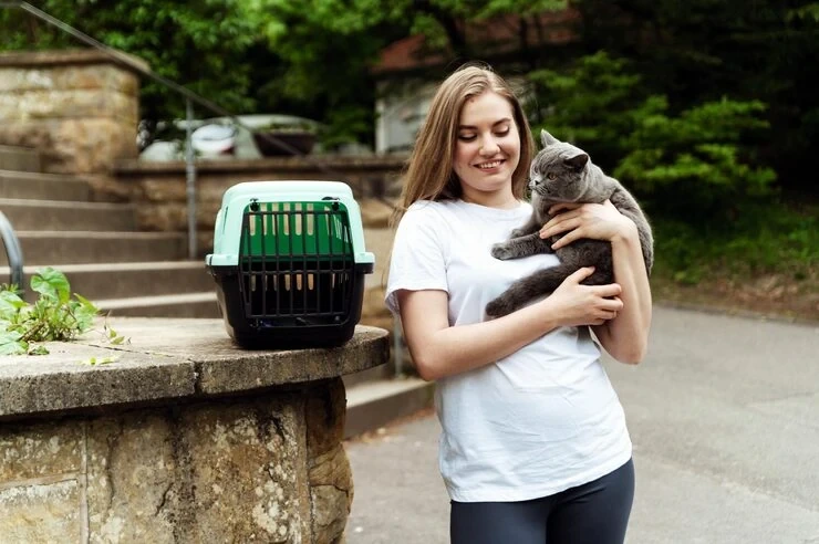 Leading customs clearance and documentation services guidance