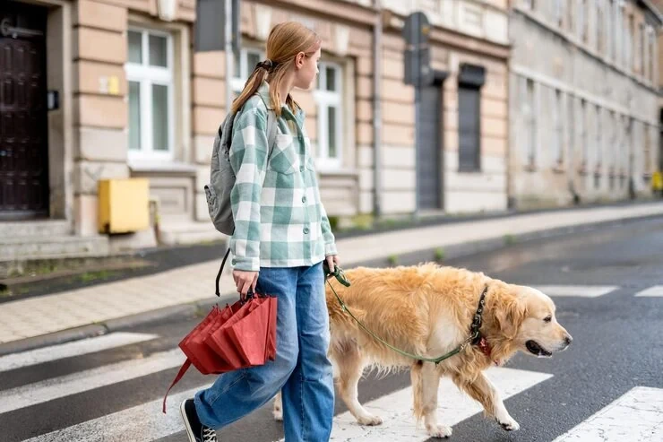 Trusted emergency services delivered by professional team