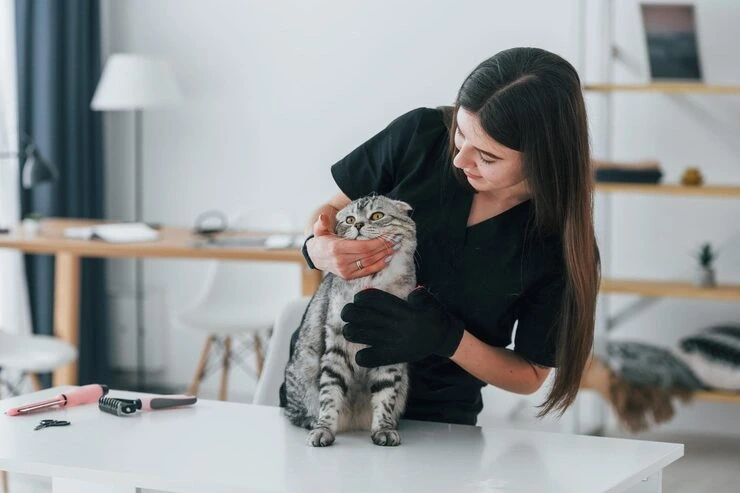 Trusted emergency travel assistance for quick support