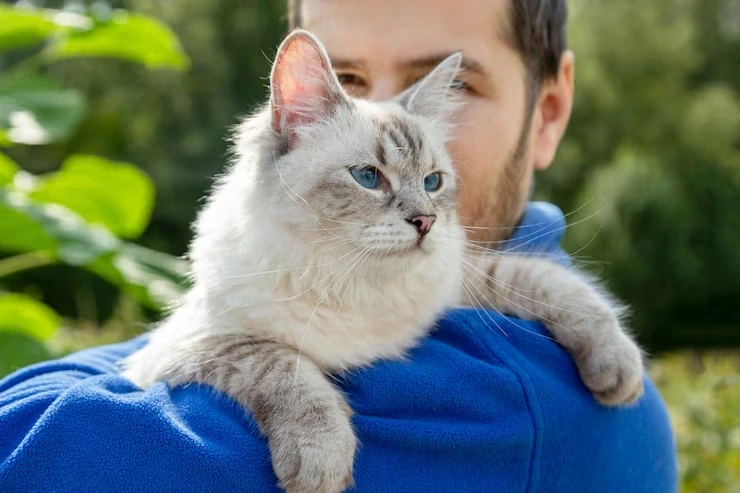 Trusted exotic pet care guidance team for pets