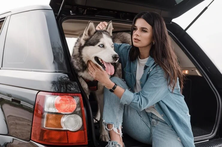 Expert home delivery or boarding support services for reliable care