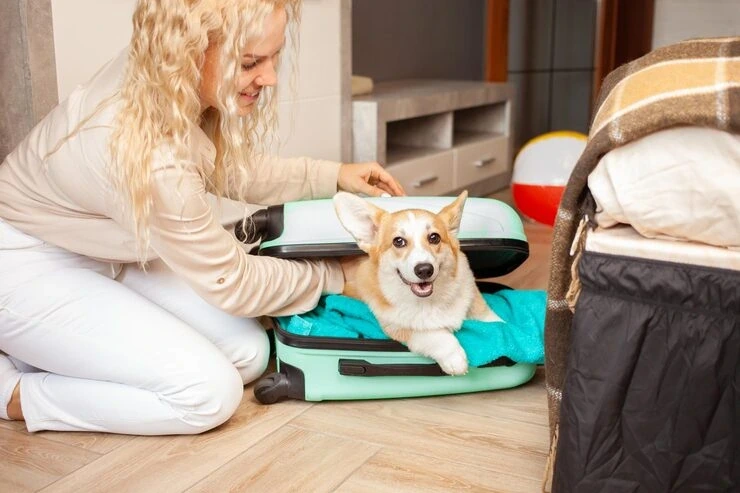 Reliable support managing pet boarding and pre-travel care plans